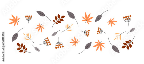 Abstract autumn leaf  autumn elements bundle  different fall leaves. Fall season.