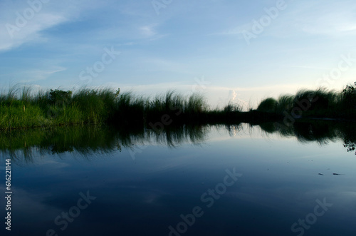 reflection of trees in water © emdadul