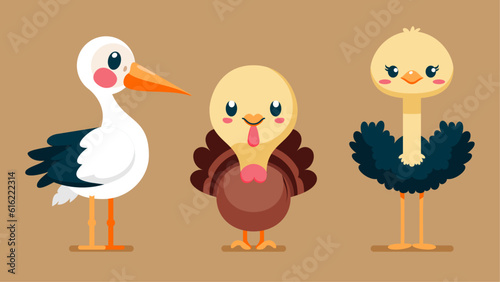 Set of cute wild animals, ostrich, turkey, Heron, Safari jungle animals flat vector illustration  photo