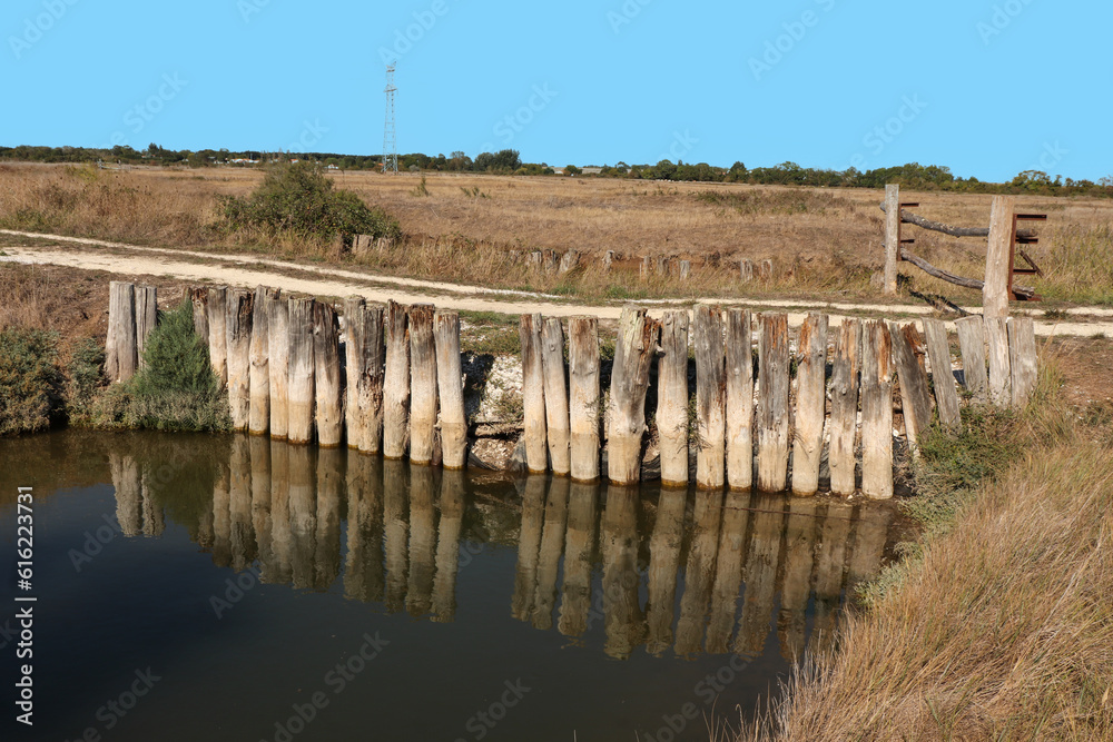 Charente-Maritime - Marais de la Seudre - Reflets dans l'eau