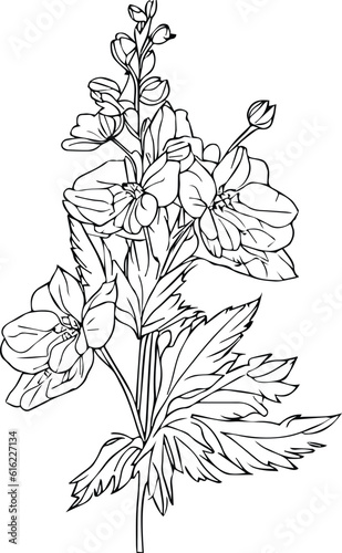 light blue delphinium wedding bouquet, July Birth Flower Larkspur Drawing, minimalist July birth flower larkspur tattoo, larkspur July flower tattoo, July birth flower tattoo, black July birth flower 