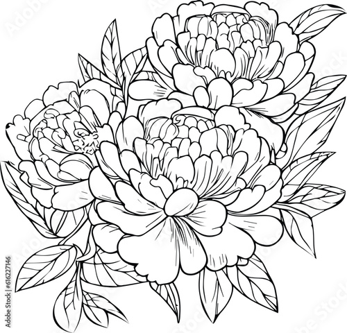 peony vector art, embellishment, artistic hand-drawn pencil sketch coloring page with blossom peony branches of leaf natural floral collection, engraved ink illustration, outline peony flower drawings