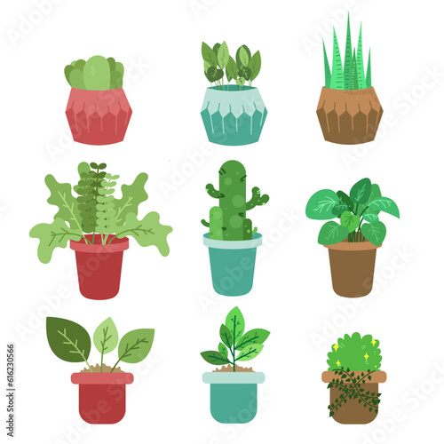 plant and herb icon set. vector potted plant for design. Plant design elements for animated backgrounds and motion graphics