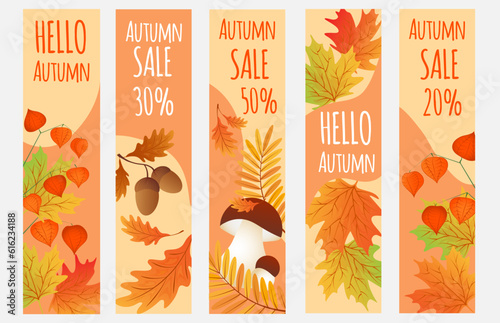Hello autumn. Autumn leaves with mushrooms, cep,physalis. Set sale banners.