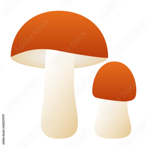 Mushroom orange boletus. Element for design isolated on white background.