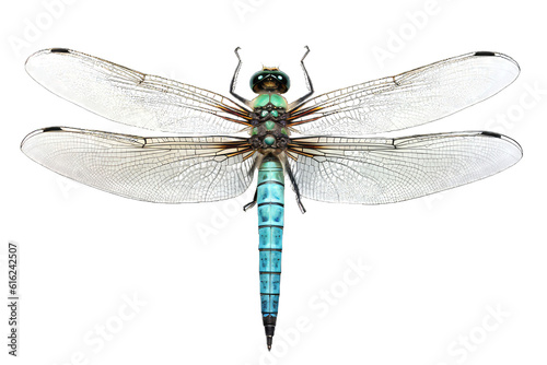 Illustration of a dragonfly, PNG transparent background, isolated on white, by Generative AI © steffenak