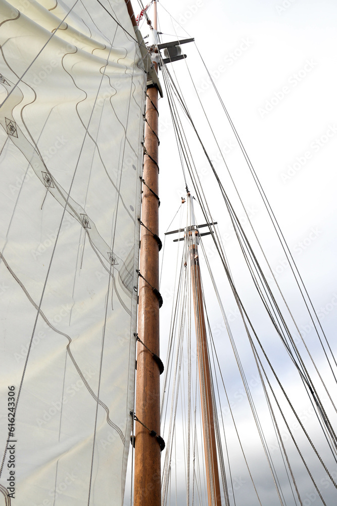 Obraz premium Sails in the sky