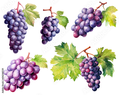 Set of red grapes watercolor isolated on white background. PNG transparent background. AI Generative.