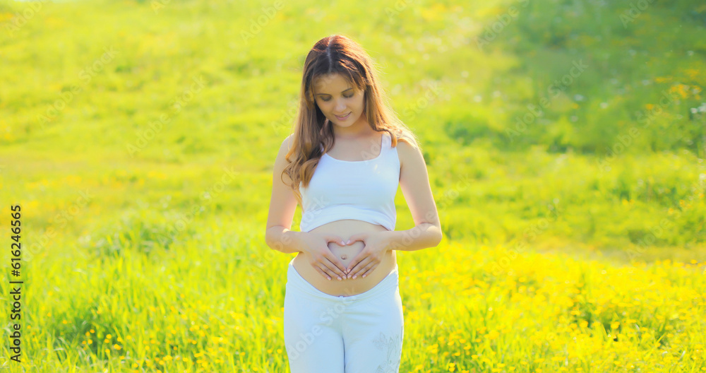 Happy young pregnant woman makes heart sign on her belly with her hands in summer park Happy young pregnant woman makes heart sign on her belly with her hands in summer park