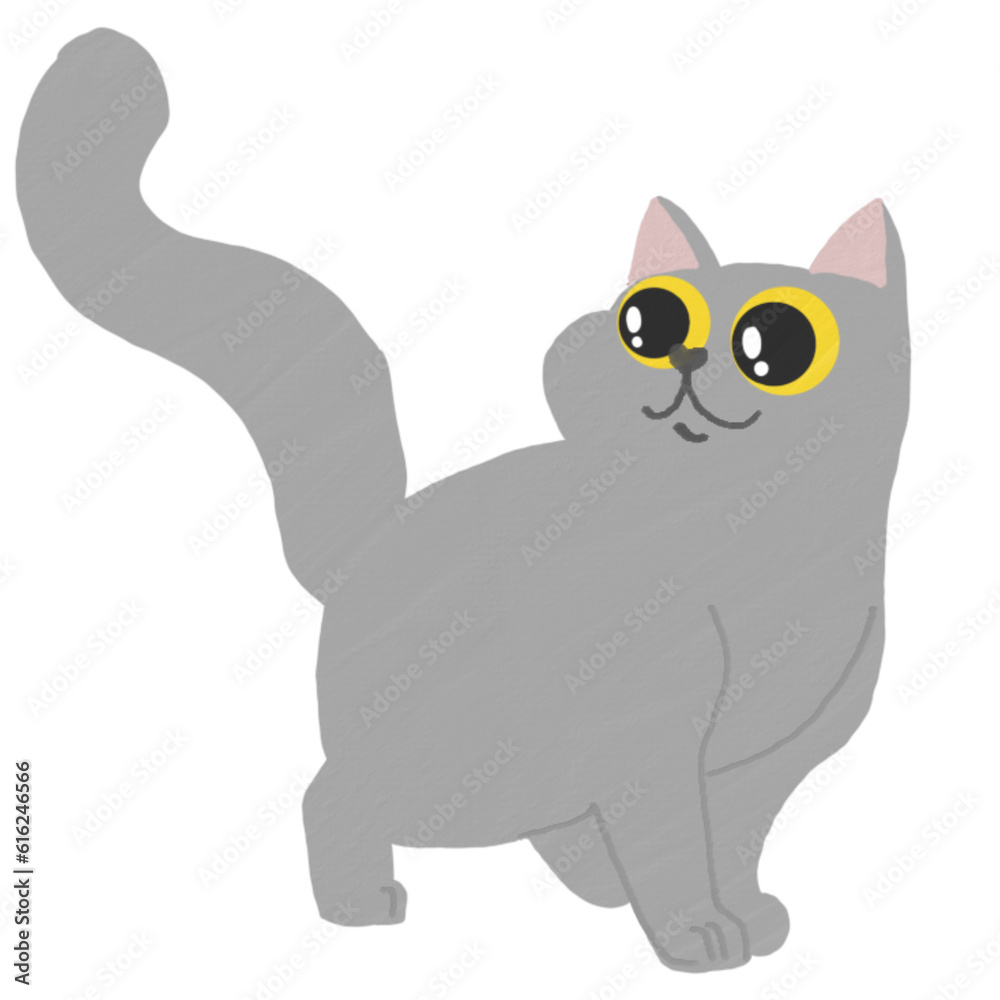 Cute cat walking Cute cat walking