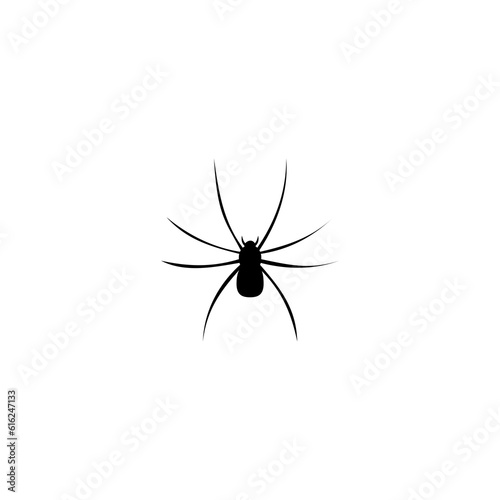 Spider icon isolated on white background 