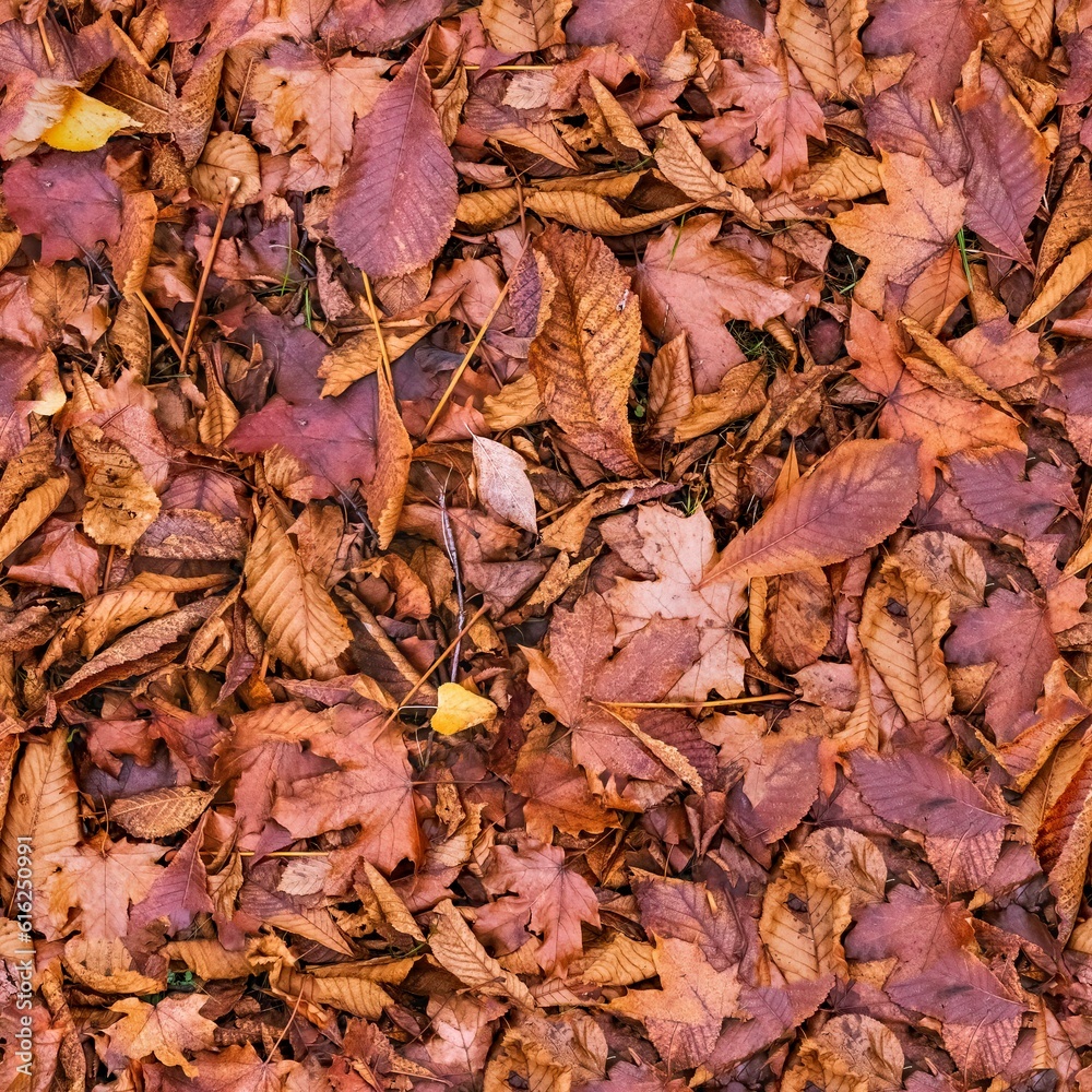 Autumn red leaves seamless texture
