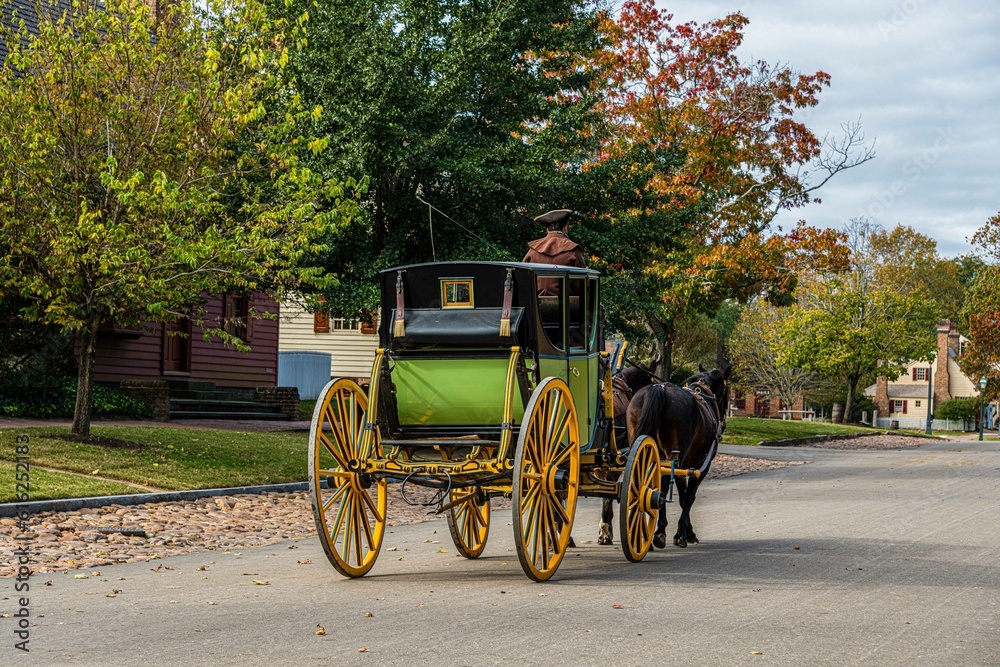 horse carriage in the street