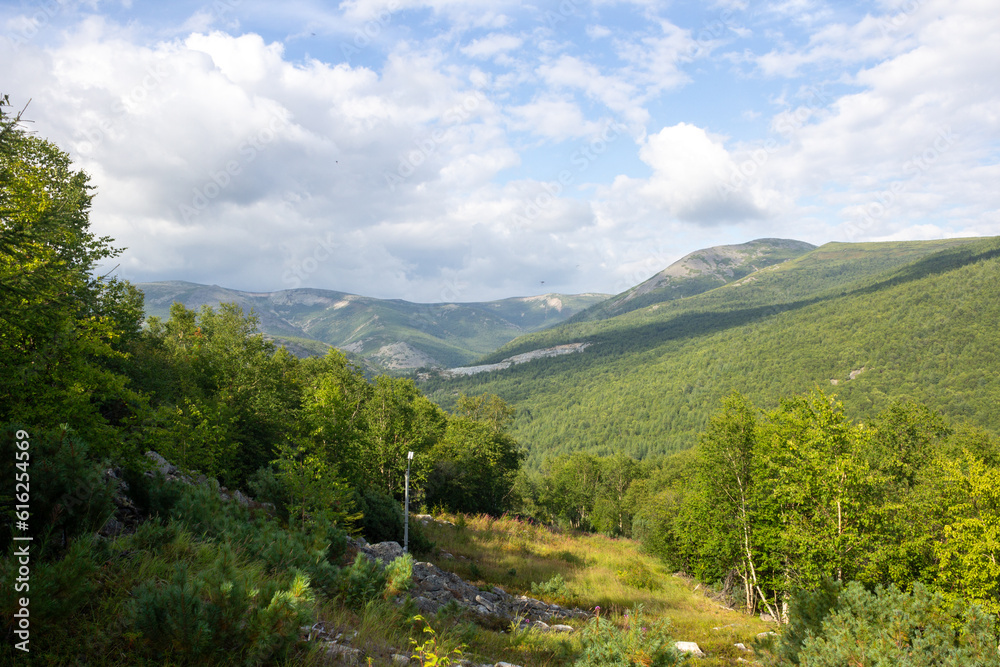 landscape in summer, magadan region