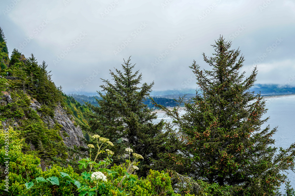 Fototapeta premium Oregon Coast. Ocean, trees, flowers, sky.
