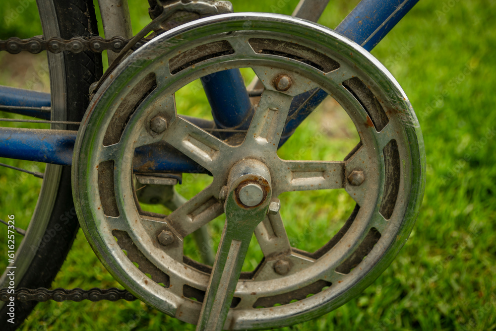 Detail of blue old dirty bicycle in green spring grass day
