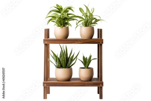 plant stand isolated on a transparent background  generative ai