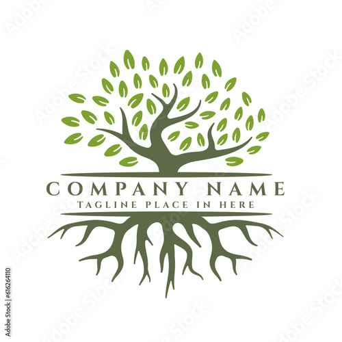 Tree and roots logo design vector isolated, abstract tree logo design illustration