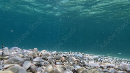 The underwater world of the Adriatic Sea with fish swimming near the rocky bottom.