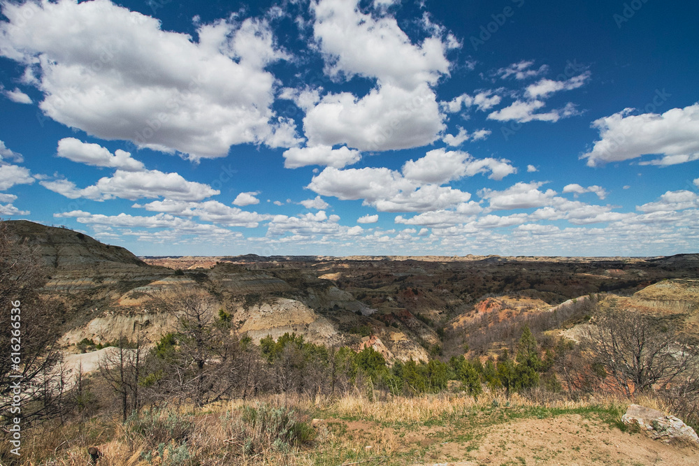 landscape with sky