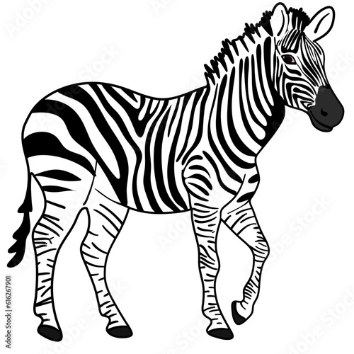 Vector colorful cartooned illustration for children  cute zebra horse
