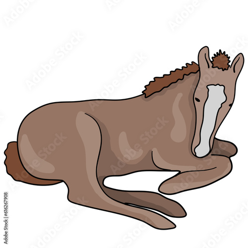 Colorful vector illustration ready to print: small cute cartooned foal