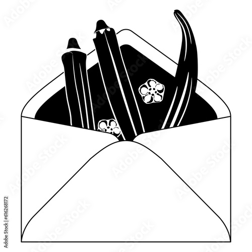 Three green ripe pods or fruits of okra inside paper envelope. Abelmoschus esculentus. Black and white silhouette.