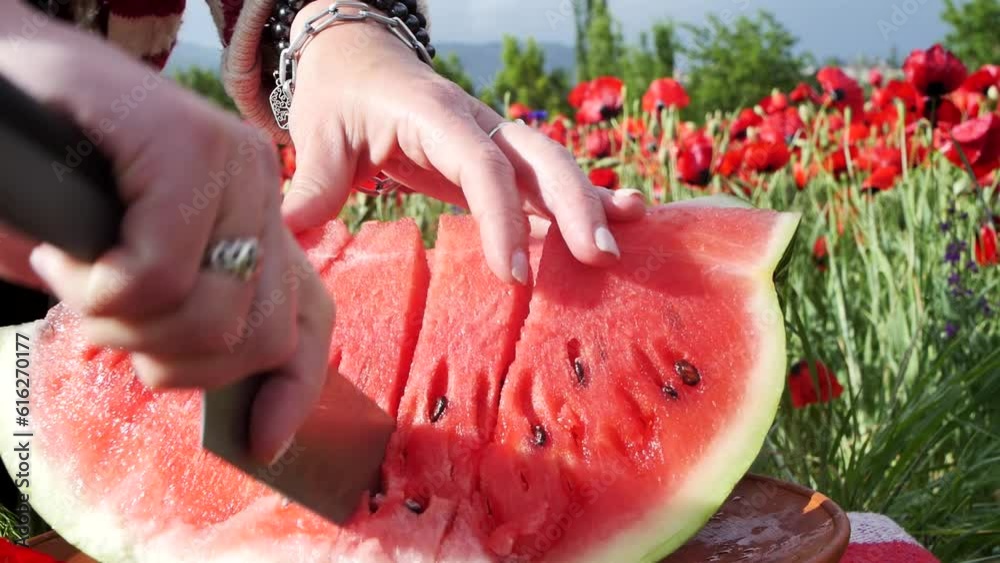 Female hands with bracelets and rings on her fingers uses a large knife to cut a ripe red watermelon into even pieces. Slicing watermelon in a field with red flowering poppies in the mountains