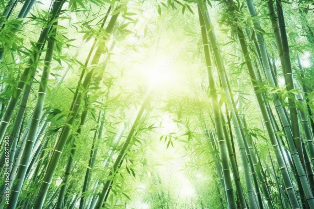 Serene Green Bamboo Background Serene Green Bamboo Background