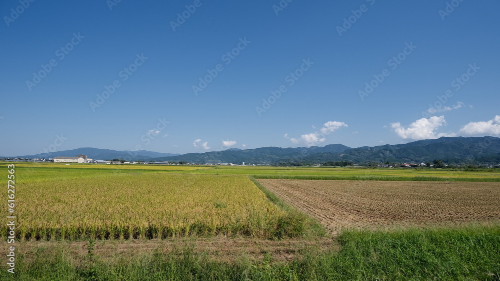 田舎の風景