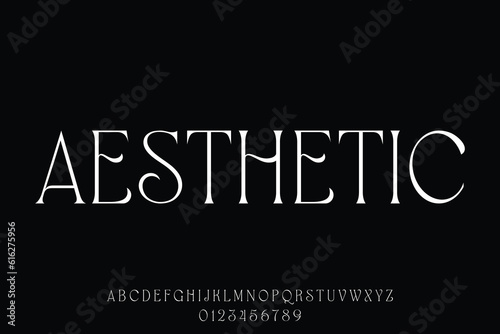 Aesthetic minimalist typeface display font vector. Thin luxury natural curved style typography design illustration
