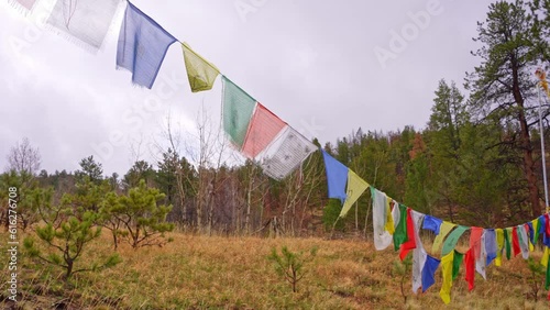 Beautiful Buddhist prayer flags into a jungle