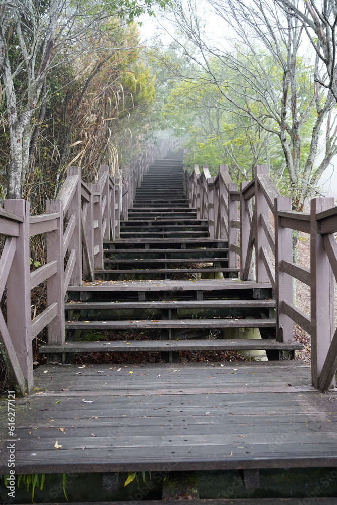 wooden staircase in the park