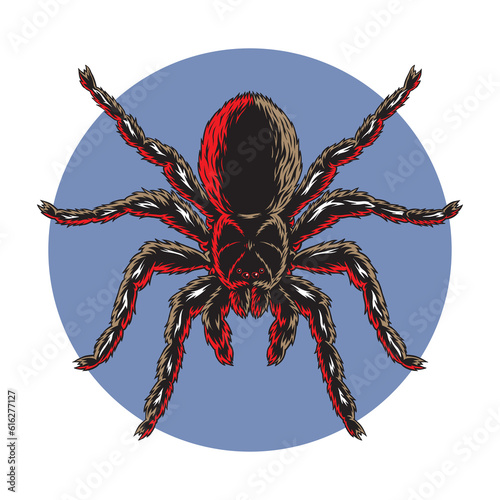 Tarantula spider top view isolated, stylized silhouette mascot vector illustration