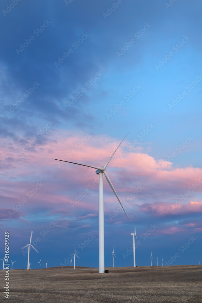 Fototapeta premium Wind Turbines of Cheyenne Wyoming