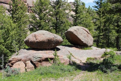 rocks in the forest