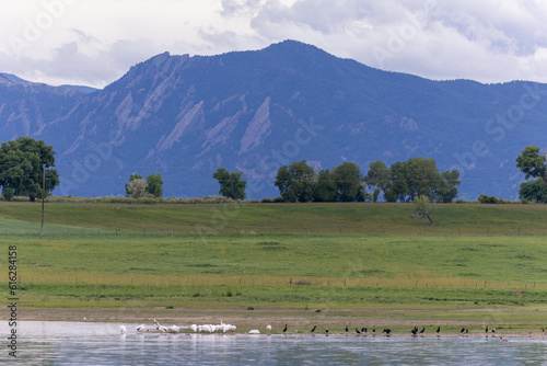 Landscape of Flat Irons In Boulder Colorado, Birds on Lake
