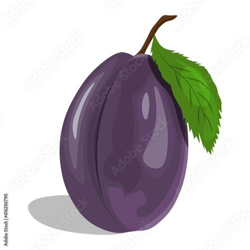 a fresh plum with a leaf for app about products, alphabet. Vector flat illustration, cartoon style. 