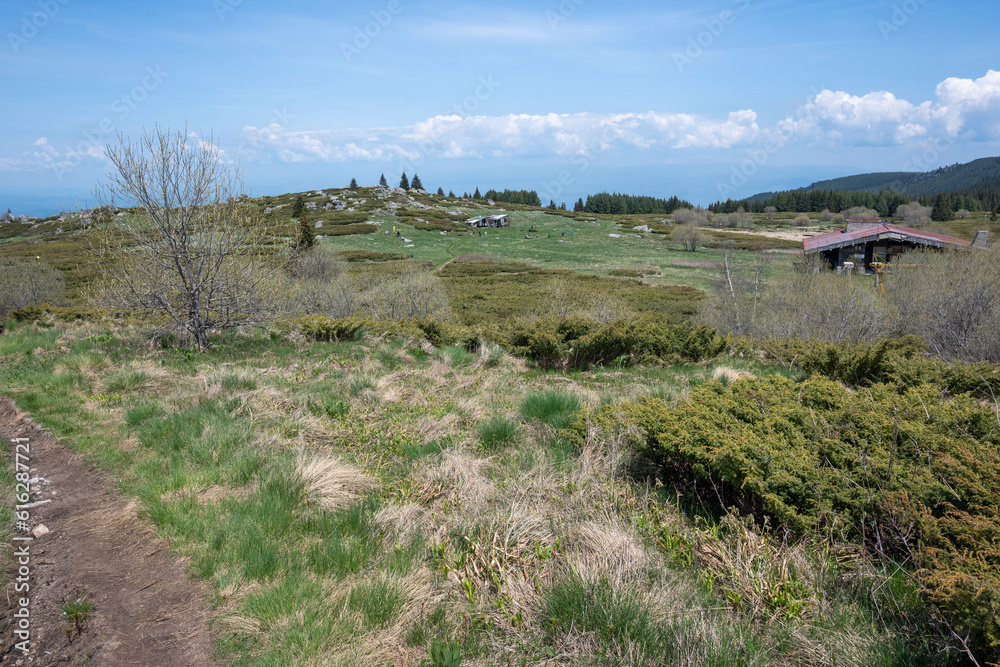 Spring view of Konyarnika area at Vitosha Mountain, Bulgaria Spring view of Konyarnika area at Vitosha Mountain, Bulgaria