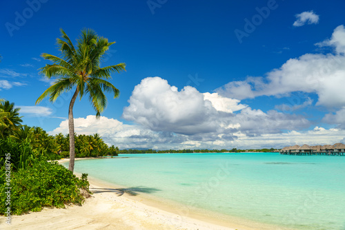 Fototapeta Naklejka Na Ścianę i Meble -  Sandy beach in Bora Bora, French Polynesia