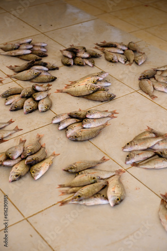 Fish market in Hadiboh Socotra photo