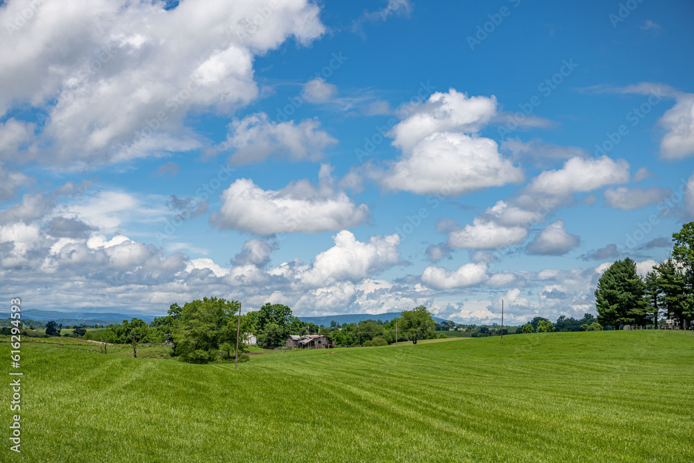 barn barn