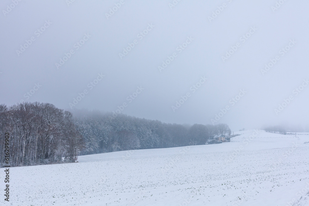 Winter landscape with snow-covered fields and trees in the background. Winter landscape with snow-covered fields and trees in the background.
