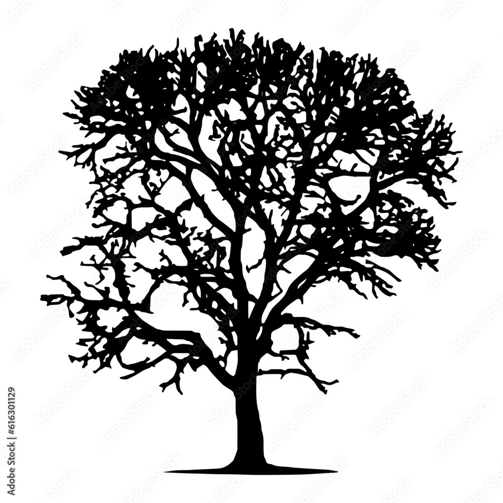 Fototapeta premium Tree silhouette isolated vector template 3