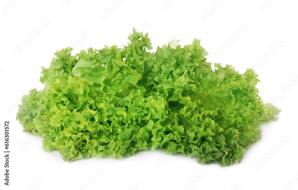 Fresh green lettuce leaves isolated on white Fresh green lettuce leaves isolated on white