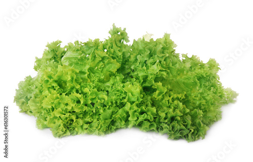 Fresh green lettuce leaves isolated on white