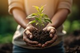 Plant sprout in hands with soil. Background with selective focus. AI generated, human enhanced