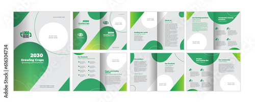 Business brochure template_flyer design