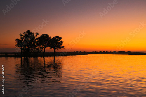 Sunset shot with Silhoutte Trees Chobe River