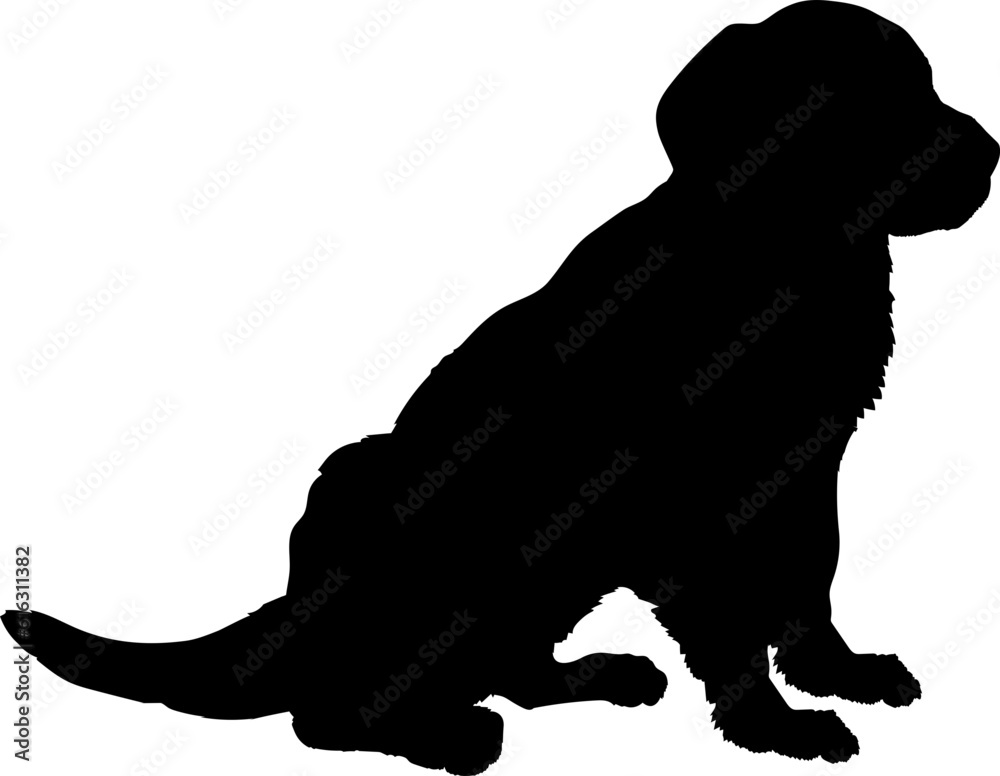 Labrodore is sitting Dog puppies silhouette. Baby dog silhouette Puppy breeds Labrodore is sitting Dog puppies silhouette. Baby dog silhouette Puppy breeds